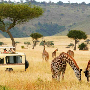 Kenya Visa